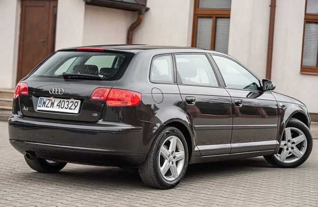 Audi A3 cena 22900 przebieg: 237000, rok produkcji 2006 z Bełchatów małe 211